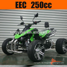 EEC 250cc Atv Quad Rennrad 250 (Road Legal)